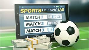 Discover the Exciting World of Betbedt Your Ultimate Betting Guide