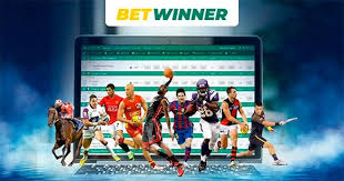 Discover the Thrills of Betting BetWinner