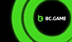 Exploring the Dynamic Features of the bc.game app