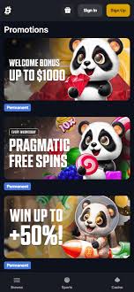 Ultimate Guide to Finding Crypto Casinos