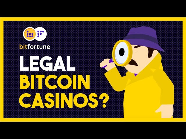 Understanding Crypto Betting Bots Profitability and Functionality