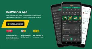 How to Easily Navigate the BetWinner Login Process