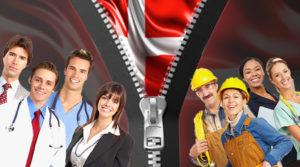 Professionelle Tjenester i Danmark En Guide til Innovation og Kvalitet